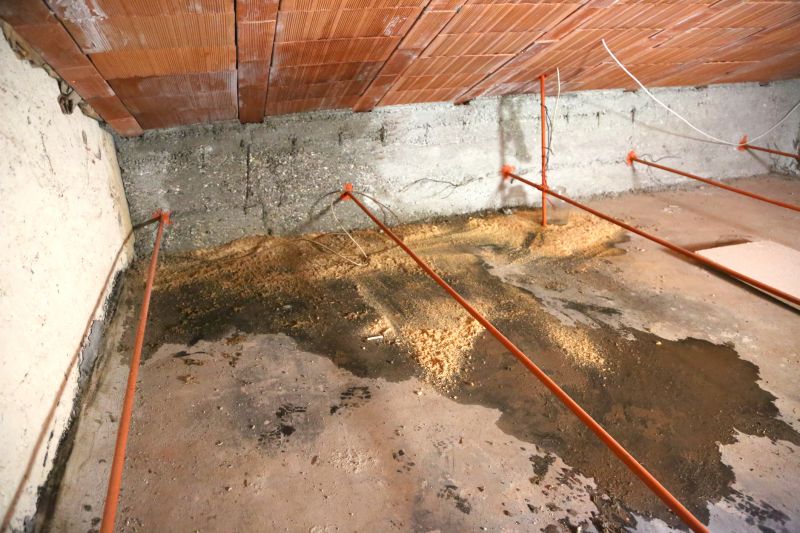 Crawl Space Remediation in Houston, TX